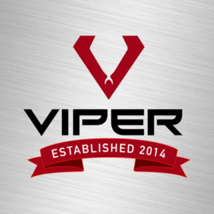 Viper Imaging logo, est 2014