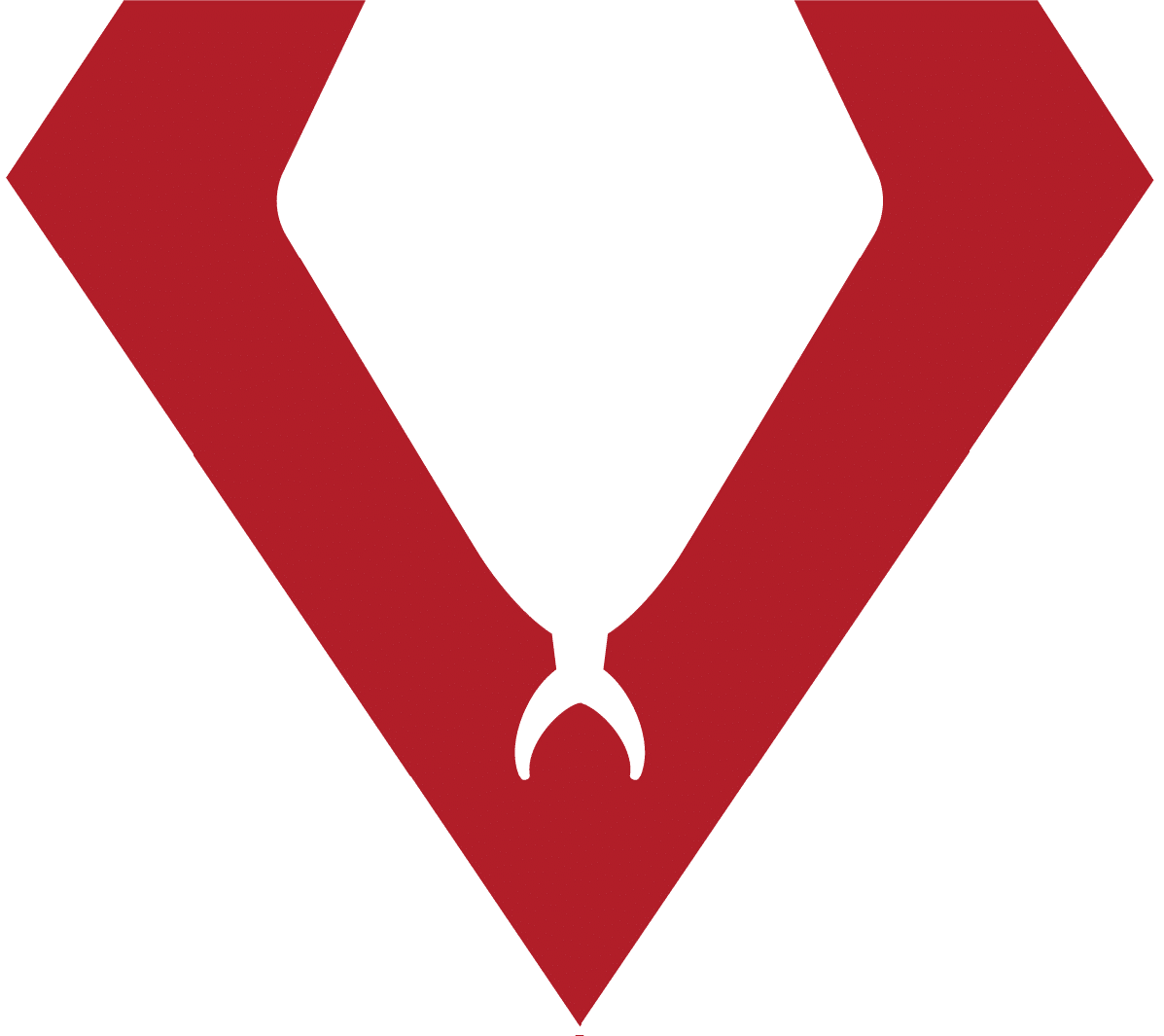 ViperVision software logo