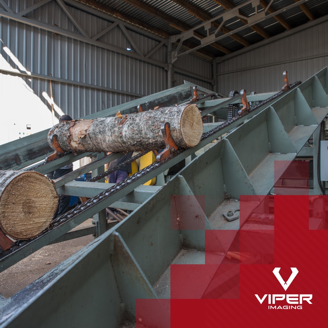 Wood Logs at a Lumber Processing Facility